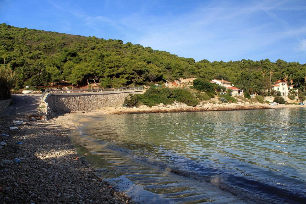 Apartments By The Sea Milna, Vis - 8944 المظهر الخارجي الصورة